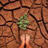 Caldo estremo, allarme per alcuni raccolti in Europa incertezza per l’estate