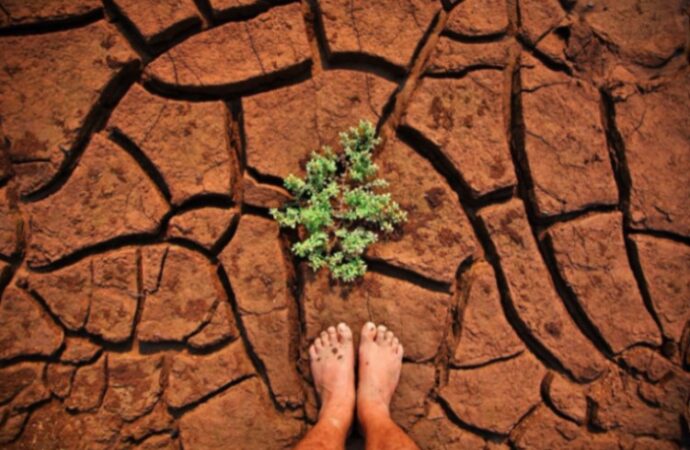 Caldo estremo, allarme per alcuni raccolti in Europa incertezza per l’estate