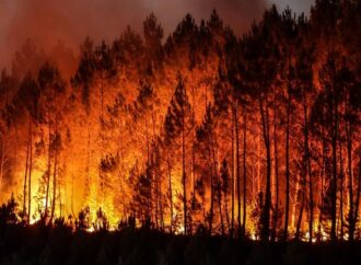 Europa, Incendi: Spagna travolta, l’incubo corre dal Mediterraneo alla Scozia