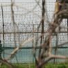 Seul, colpi di avvertimento al confine, tensioni con Pyongyang