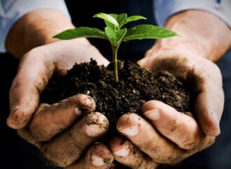 Calvisano in Festa: dove l’agricoltura incontra il caviale (e la Cuccagna)