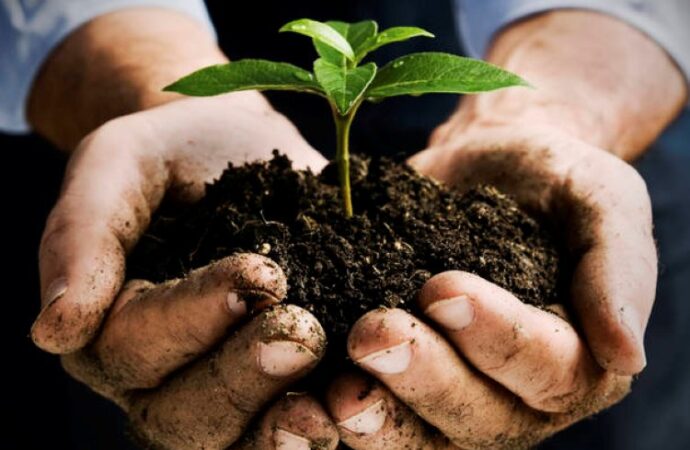 Calvisano in Festa: dove l’agricoltura incontra il caviale (e la Cuccagna)