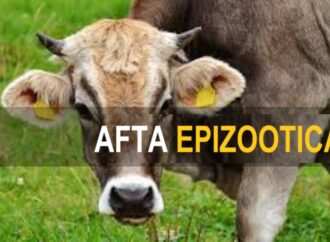 Afta epizootica, misure straordinarie in Slovacchia e Ungheria