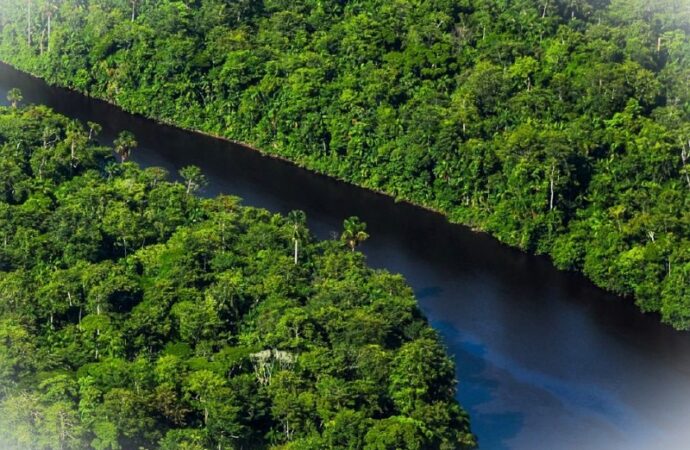 Suriname: preservare il 90% delle foreste contro l’erosione dell’Amazzonia