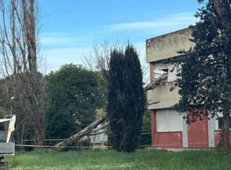 Paura a Roma, cade albero e sfonda finestra del liceo Orazio