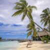 Immersione killer alle Maldive, morti cinque italiani