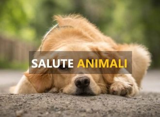 Cuccioli e caldo record: ecco la guida per salvarli dall’afa
