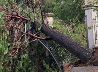 Maltempo colpisce il Nord Italia: nubifragio e tromba d’aria a Cremona, stop funivia in Trentino