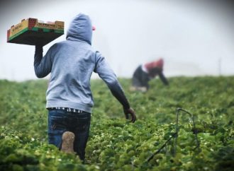 Francia, Agricoltura: il clima presenta il conto: campi a secco e raccolti in difficoltà