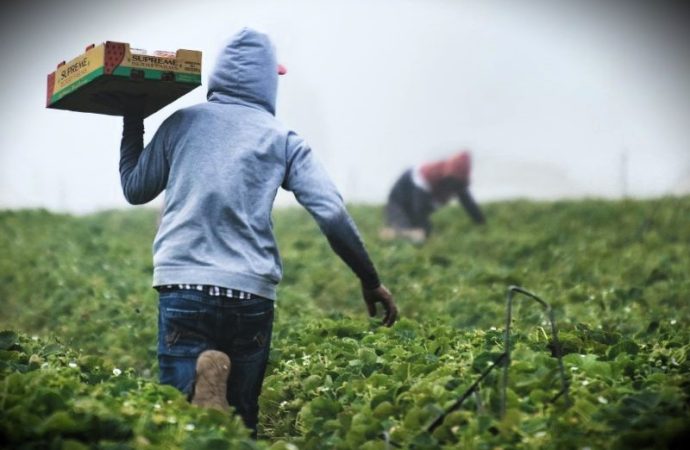 Francia, Agricoltura: il clima presenta il conto: campi a secco e raccolti in difficoltà