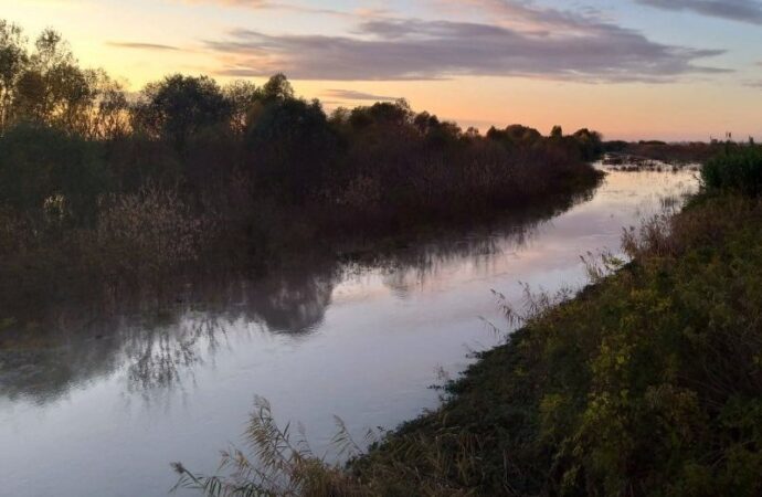 Germania: dati Wsa, livello del fiume Reno raggiunge minimo storico