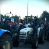 Blocchi tir, Cdm ok a decreto aiuti: 60 milioni per agricoltori, 10 per la pesca