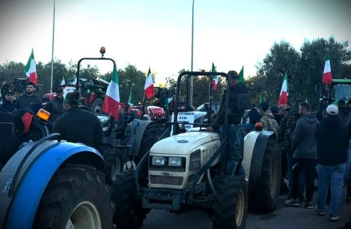 Blocchi tir, Cdm ok a decreto aiuti: 60 milioni per agricoltori, 10 per la pesca
